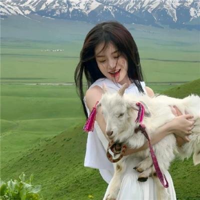 洗衣房的奇妙世界 在线观影